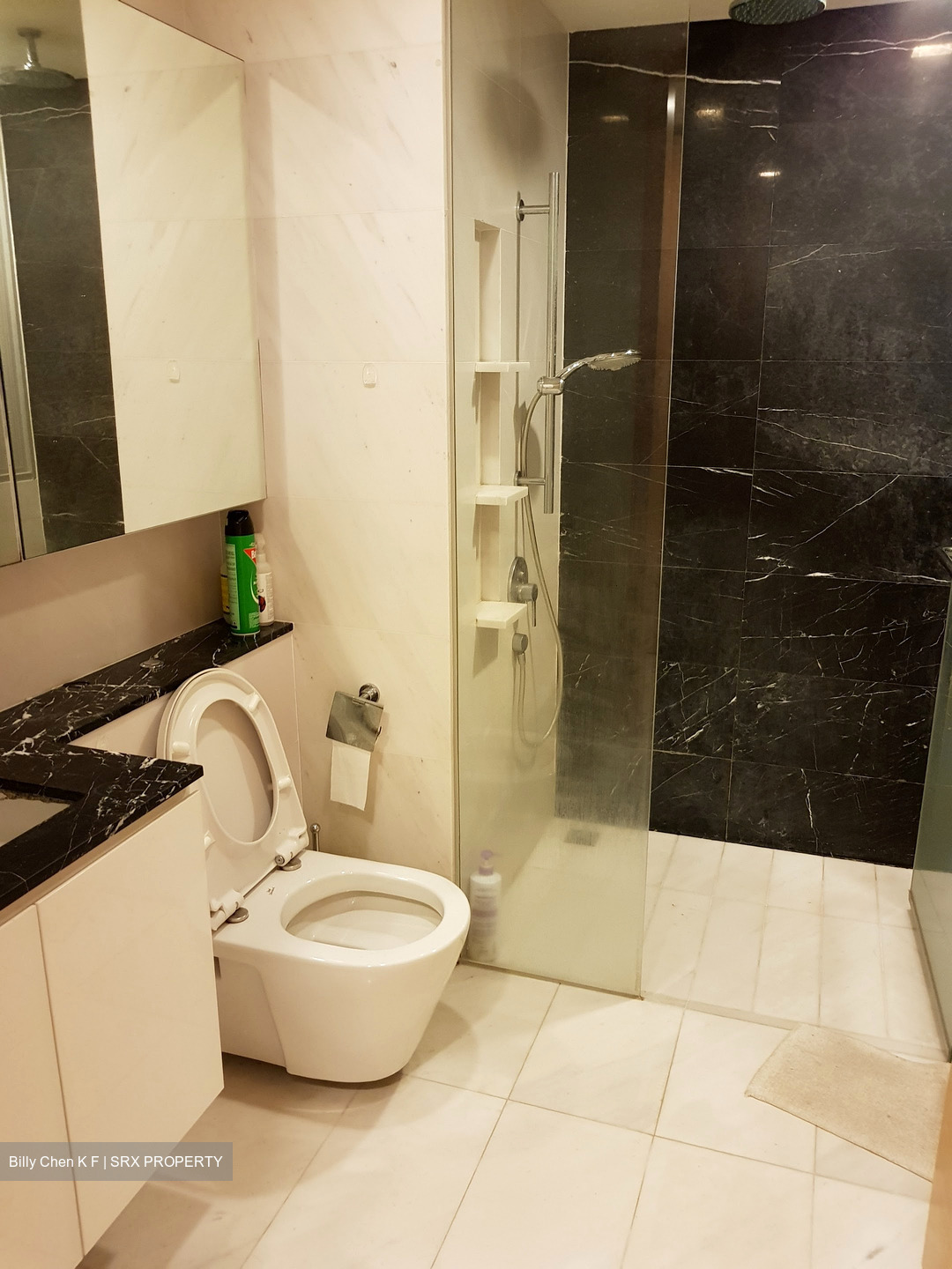The Scala (D19), Apartment #437887151